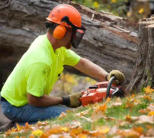 tree services Shrub Oak